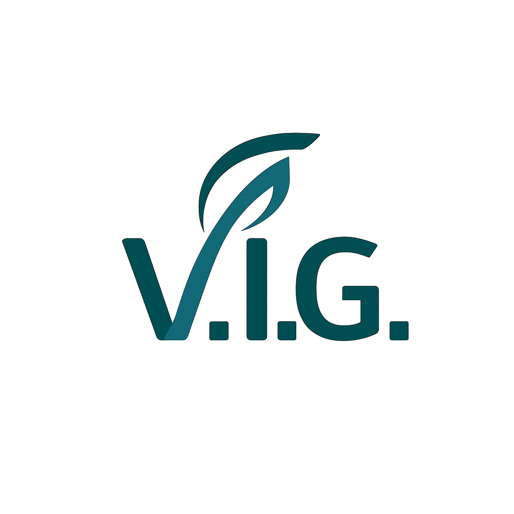 V.I.G. Srl